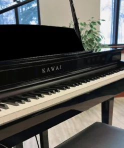 KAWAI DG30