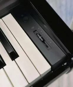 KAWAI DG30