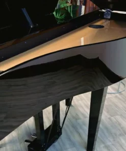 KAWAI DG30