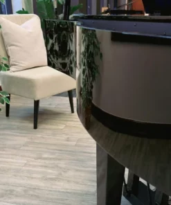 KAWAI DG30