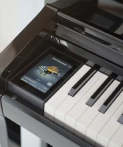 KAWAI NV5S Hybrid