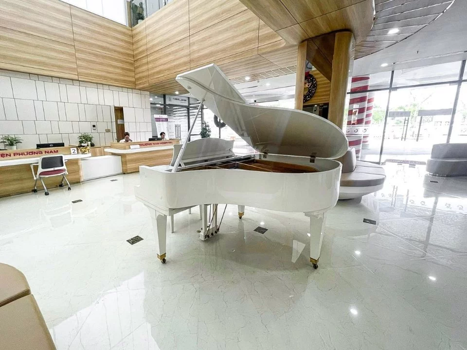 DIAPASON 170D WH - Elite Piano