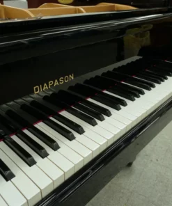 DIAPASON 210E