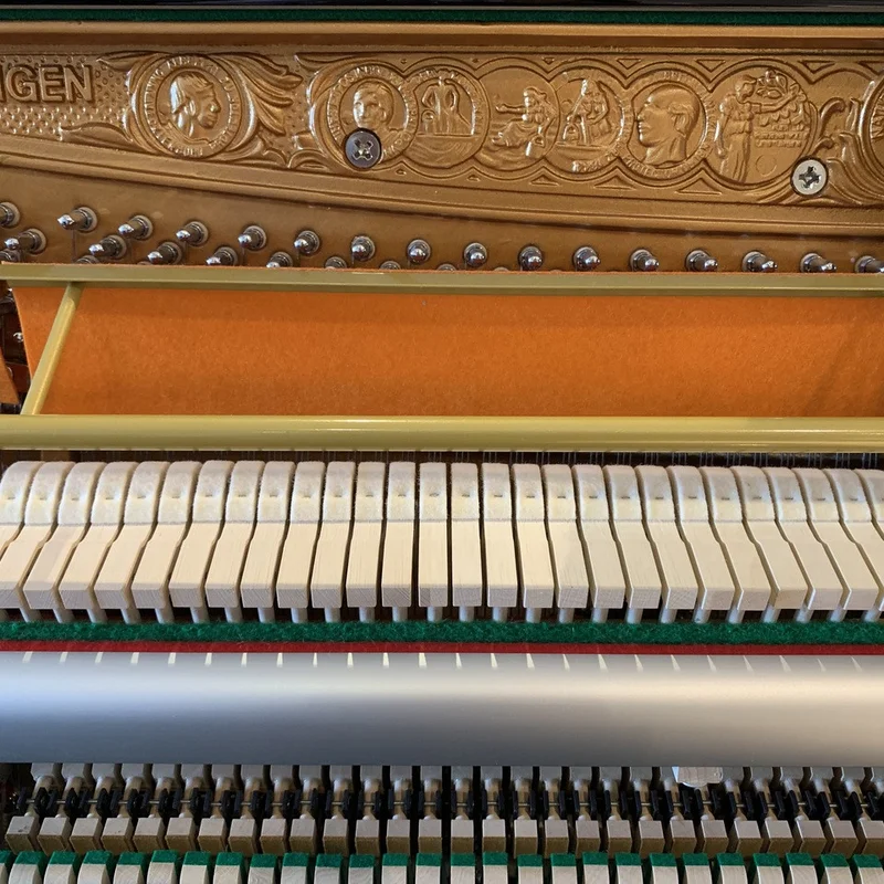 Review ED-126 MN – Hình ảnh thực tế tại showroom Elite Piano