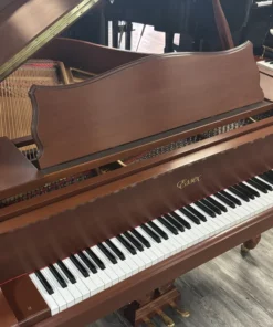 Essex EGP-161N Cherry Satin (USED)