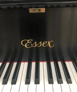 Essex EGP-161N Cherry Satin (USED)