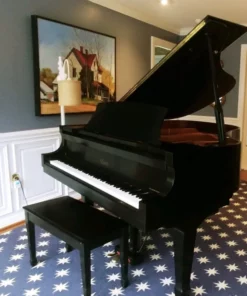 Essex EGP-161N Cherry Satin (USED)