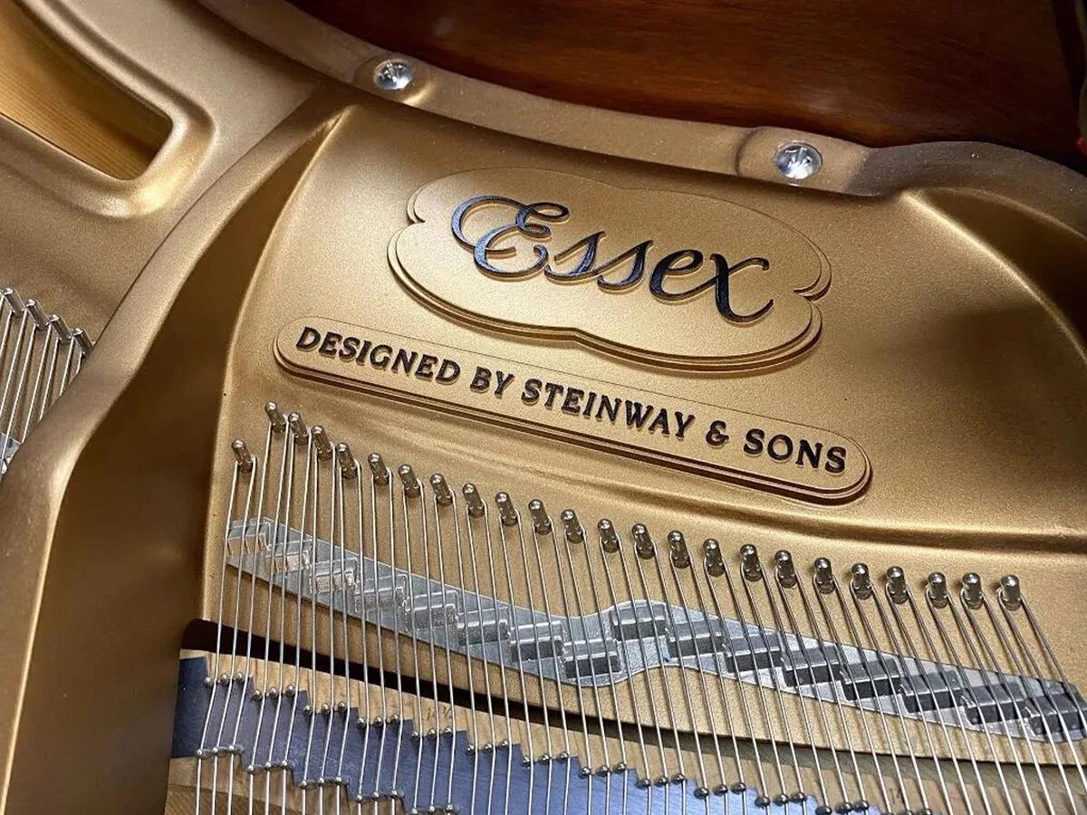 Essex EGP-161N Cherry Satin (USED)