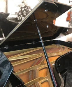 Estonia L274 Concert Grand