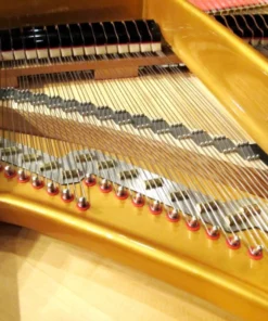 Estonia L274 Concert Grand