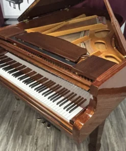 Estonia L190 Pyramid Mahogany