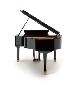 Fazioli F183 - Living Room Grand