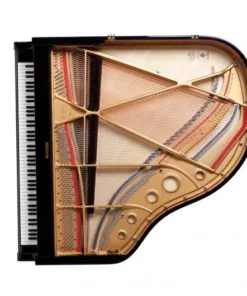Fazioli F183 - Living Room Grand