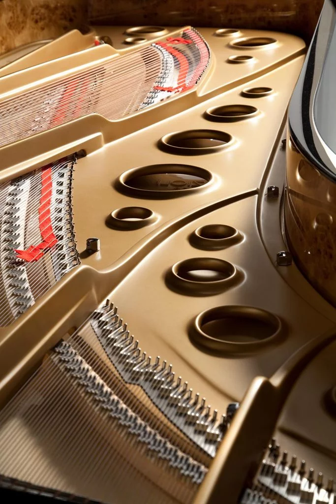 Review Fazioli F308 - The Longest Grand Piano – Hình ảnh thực tế tại showroom Elite Piano