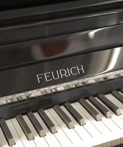 FEURICH 133 Concert (Black Polished)
