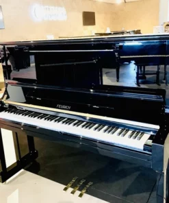 FEURICH 133 Concert (Black Polished)