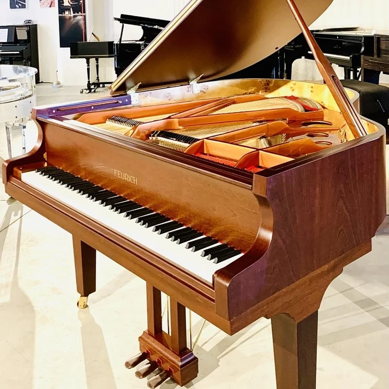 FEURICH 162 - "DYNAMIC I" (Satin Walnut) - Elite Piano