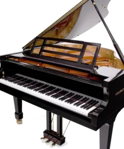 FEURICH 162  & DYNAMIC I (Black Polish & Brass)