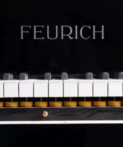 FEURICH 162  & DYNAMIC I (Black Polish & Brass)