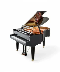 FEURICH 162  & DYNAMIC I (Black Polish & Brass)