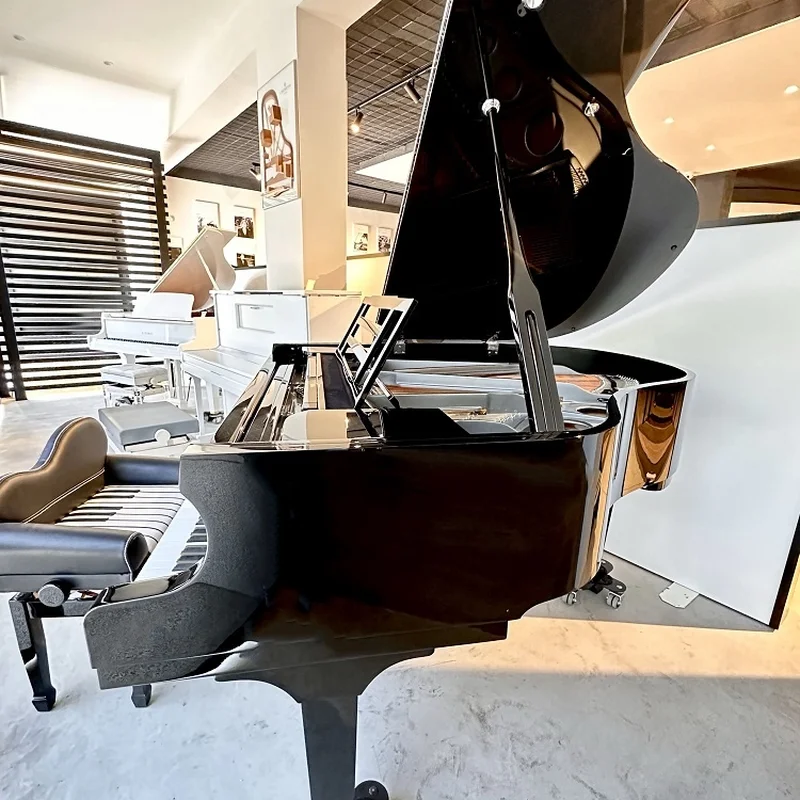 FEURICH 162 - "DYNAMIC I" (Black Polish & Chrome) - Elite Piano