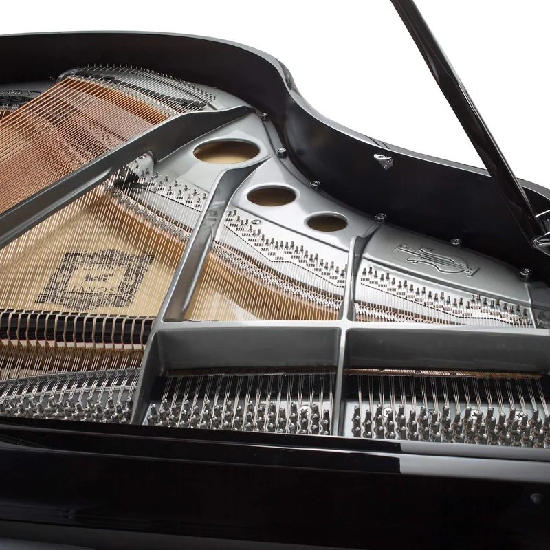 FEURICH 179 - "DYNAMIC II" (Black Polish & Chrome) - Elite Piano