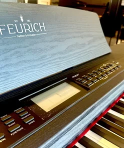FEURICH OLYA EVO Black (Feurich Digital)