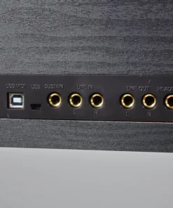 FEURICH OLYA EVO Black (Feurich Digital)