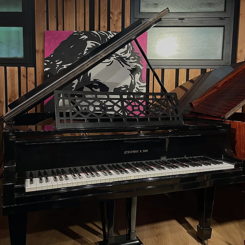 FEURICH OLYA EVO Black (Feurich Digital) - Elite Piano