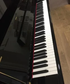 Fridolin Schimmel F116 Tradition (Ebony High Gloss)