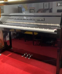 Fridolin Schimmel F121 Tradition (Ebony High Gloss)