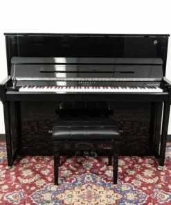 Fridolin Schimmel F123 Tradition (Ebony High Gloss)