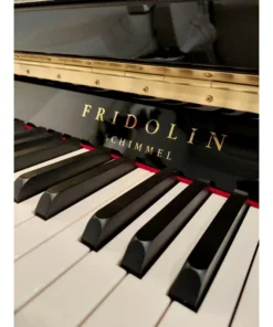 Fridolin Schimmel F123 Tradition (Ebony High Gloss)