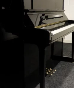 Fridolin Schimmel F123 Tradition (Ebony High Gloss)