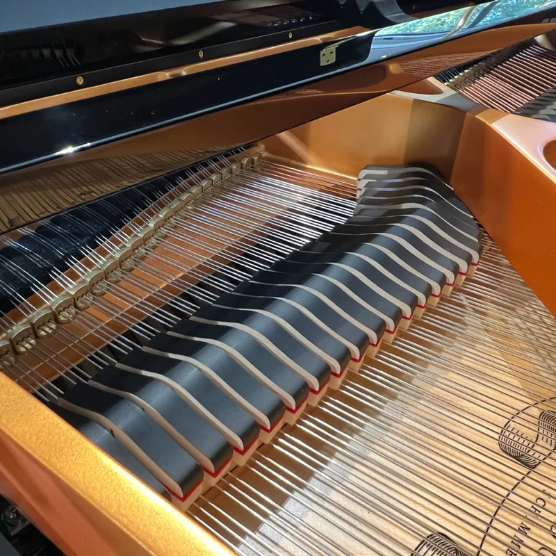 Fridolin Schimmel F156 Tradition (Ebony High Gloss)