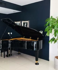 PIANO APOLLO A30