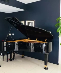 PIANO APOLLO A30