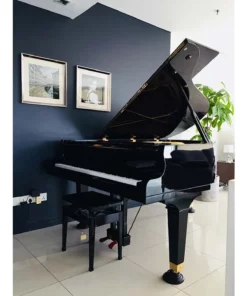 PIANO APOLLO A30