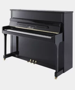 Haessler H118 (Designed by Blüthner)