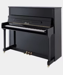 Haessler H124 (Designed by Blüthner)