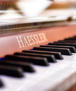 Haessler H124 (Designed by Blüthner)