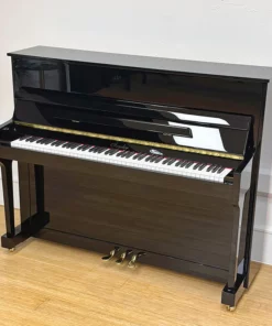 Irmler P118 Studio (Designed by Blüthner)