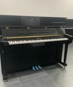 Irmler P118 Studio (Designed by Blüthner)
