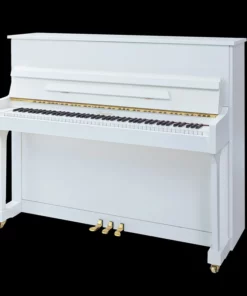 Irmler P118 Studio (Designed by Blüthner)