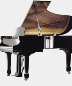 Irmler P125 Supreme (Designed by Blüthner)