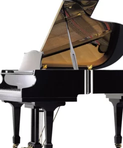 Irmler P125 Supreme (Designed by Blüthner)