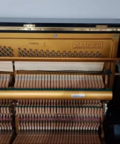 KAISER K1