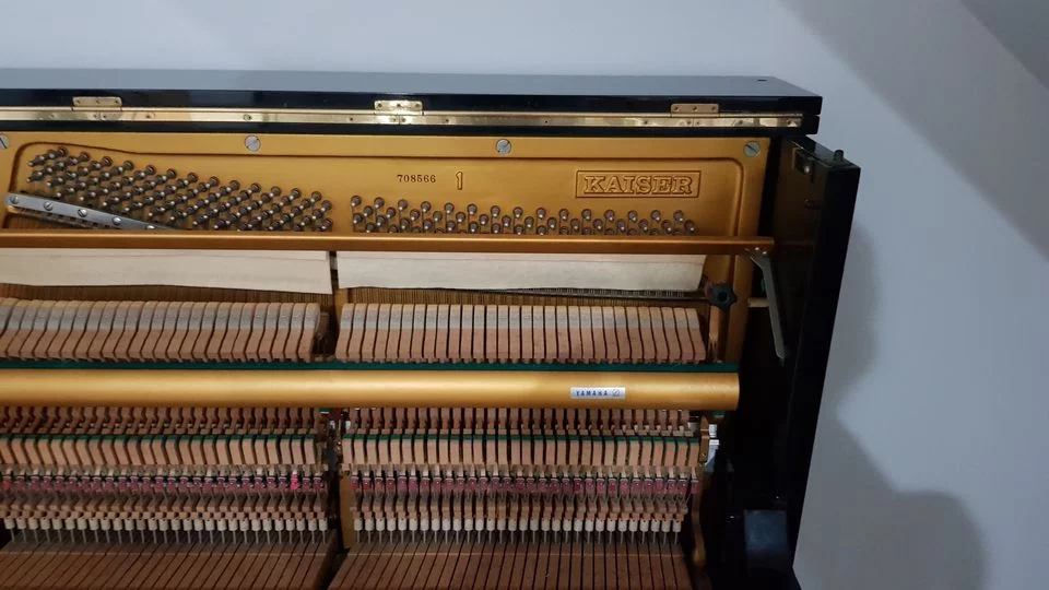 KAISER K1