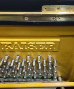 KAISER K1