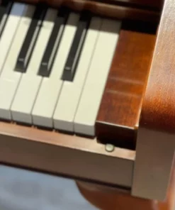 Kawai 504F